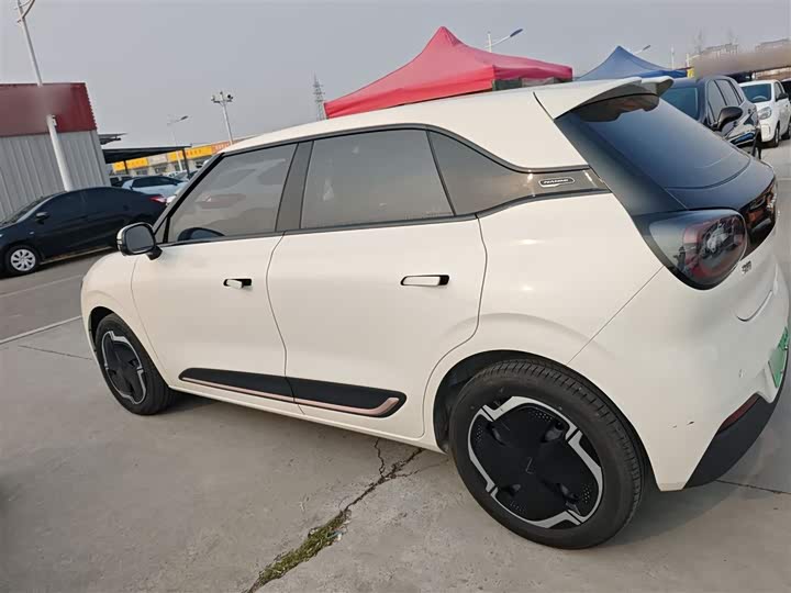 Фото 5 - Dongfeng Nammi 01