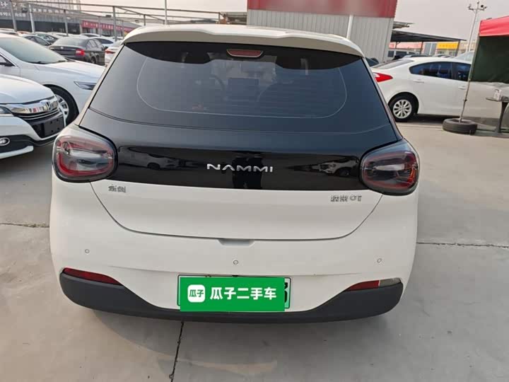 Фото 6 - Dongfeng Nammi 01