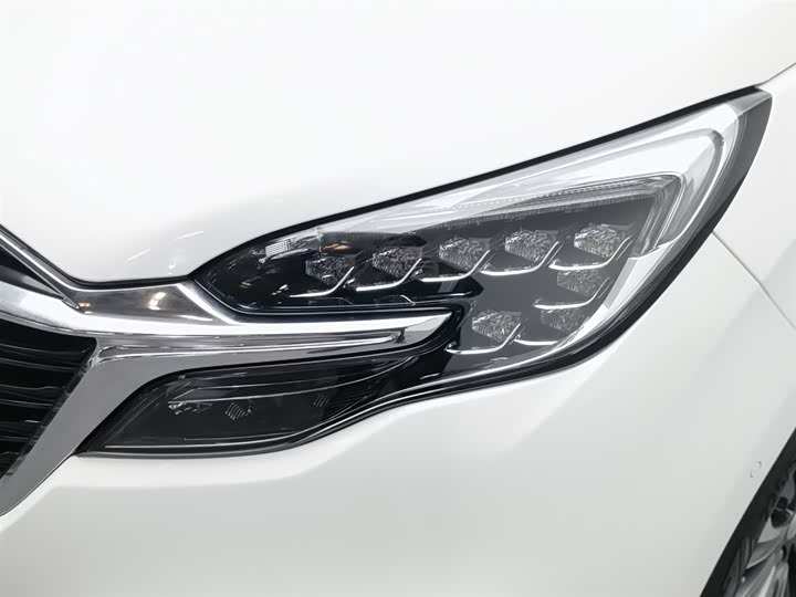 Фото 7 - Buick GL8 ES