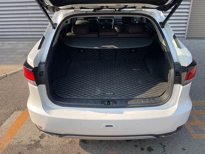 Фото 10 - Lexus RX