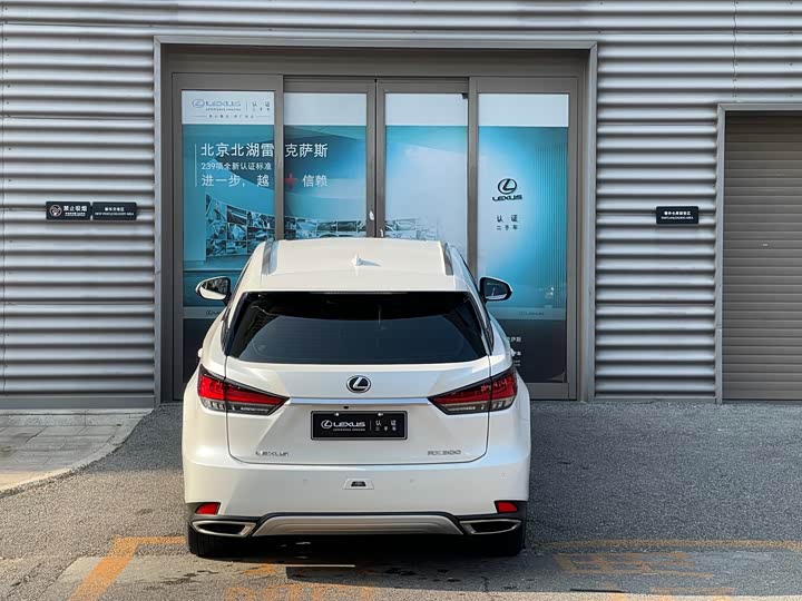 Фото 21 - Lexus RX