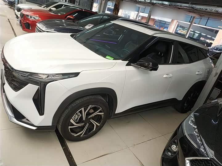 Фото 5 - Geely Atlas