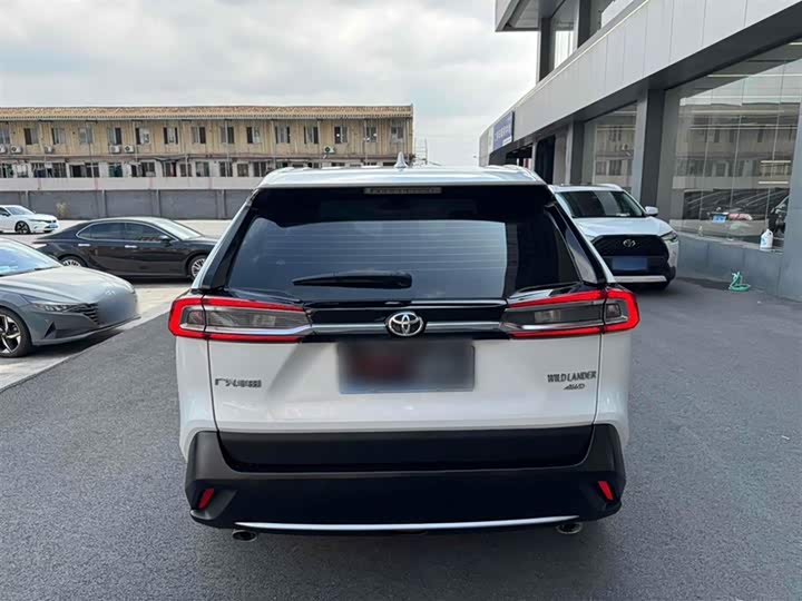 Фото 10 - Toyota Wildlander