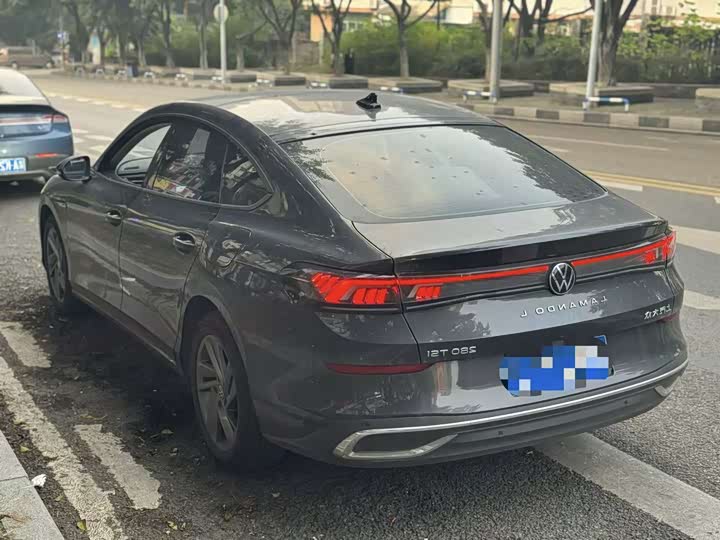 Фото 9 - Volkswagen Lamando L