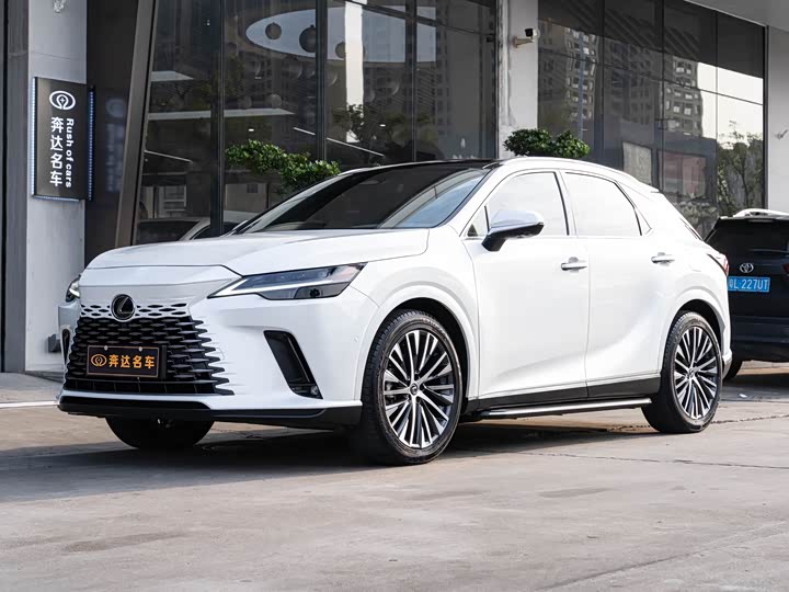 Фото 1 - Lexus RX Hybrid