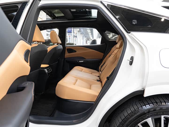 Фото 10 - Lexus RX Hybrid