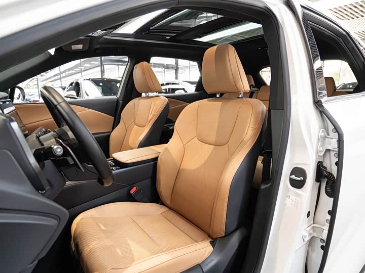 Фото 11 - Lexus RX Hybrid