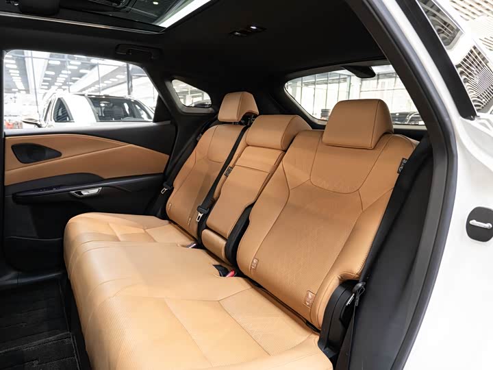 Фото 12 - Lexus RX Hybrid