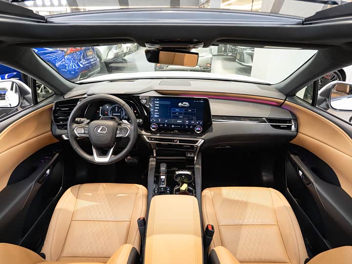 Фото 13 - Lexus RX Hybrid