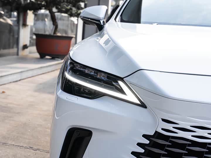 Фото 6 - Lexus RX Hybrid