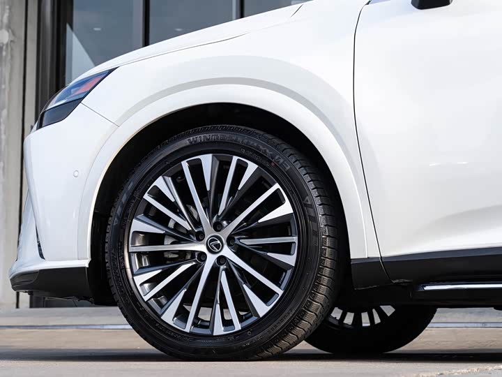 Фото 8 - Lexus RX Hybrid