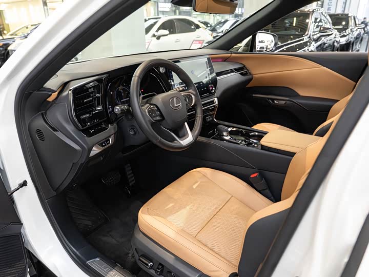 Фото 9 - Lexus RX Hybrid