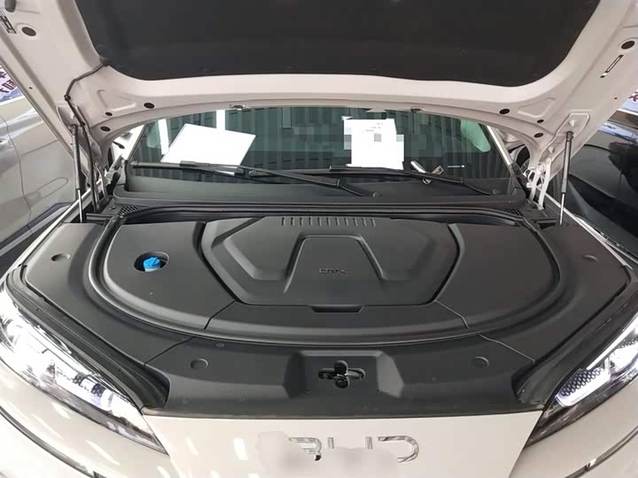 Фото 10 - BYD Sea Lion 07 DM-i Hybrid