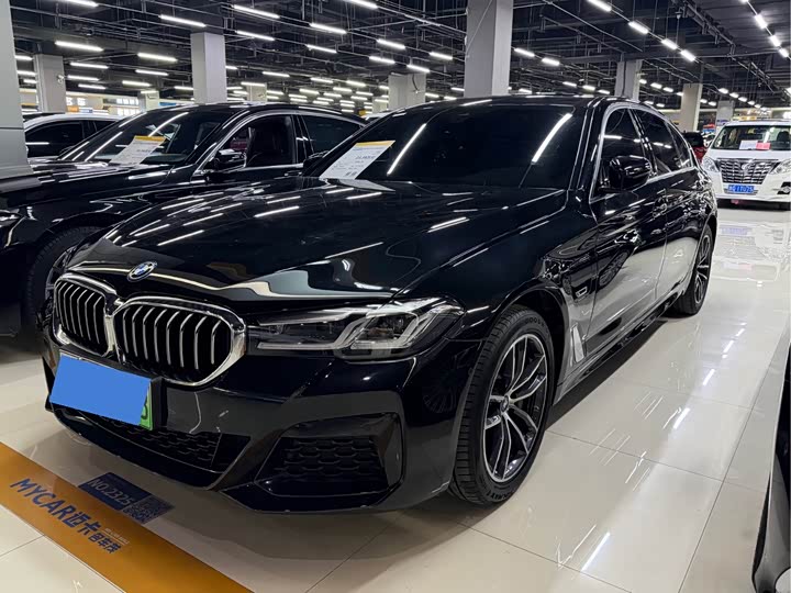 Фото 1 - BMW 5 Series Hybrid