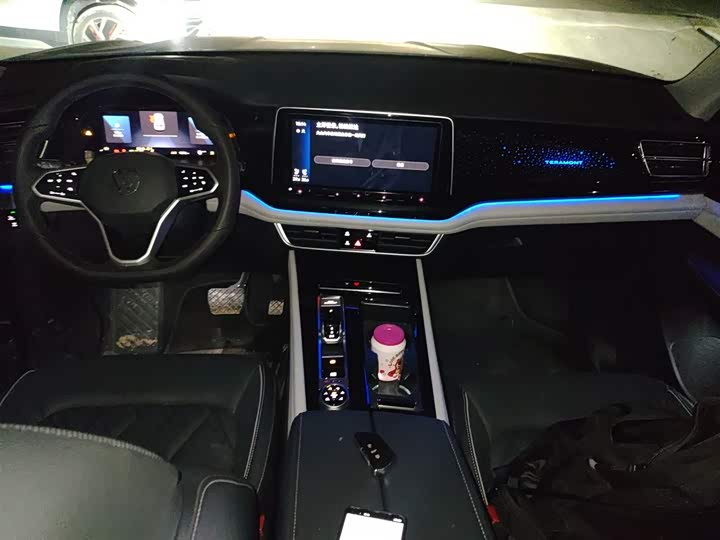 Фото 10 - Volkswagen Teramont Pro