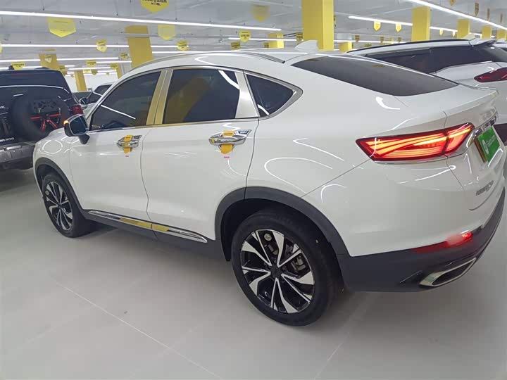Фото 5 - Geely Tugella S