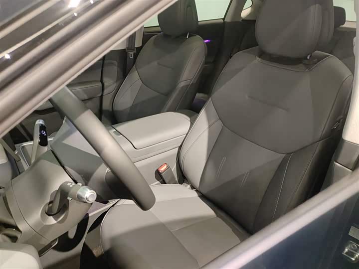 Фото 15 - XPeng G6