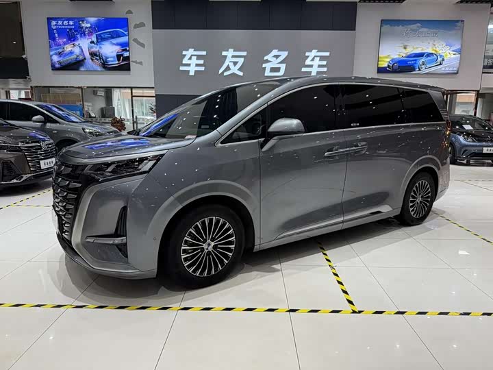 Фото 1 - Denza D9