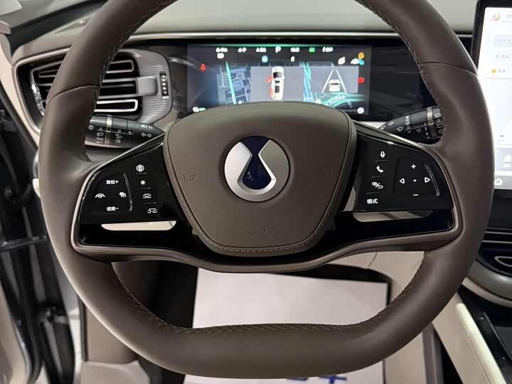 Фото 11 - Denza D9