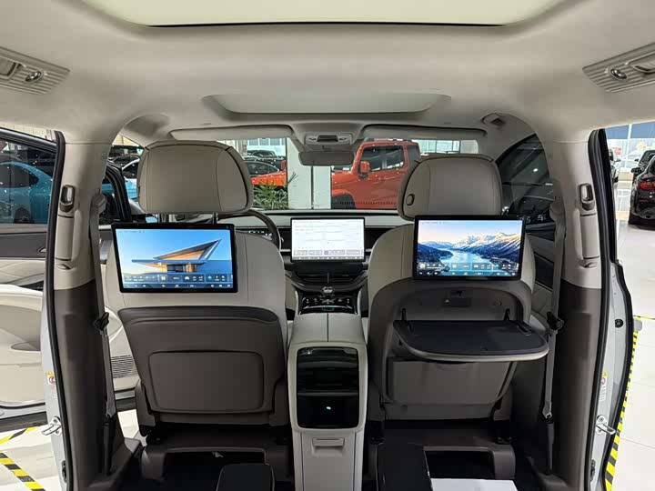 Фото 13 - Denza D9