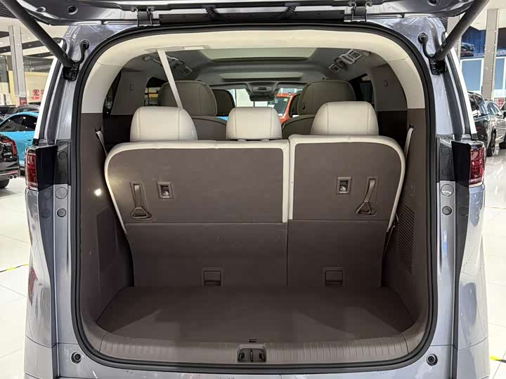 Фото 15 - Denza D9