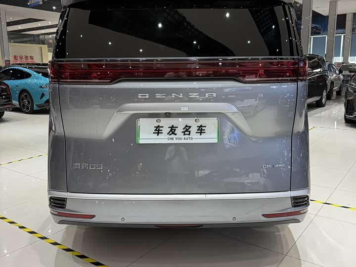 Фото 16 - Denza D9