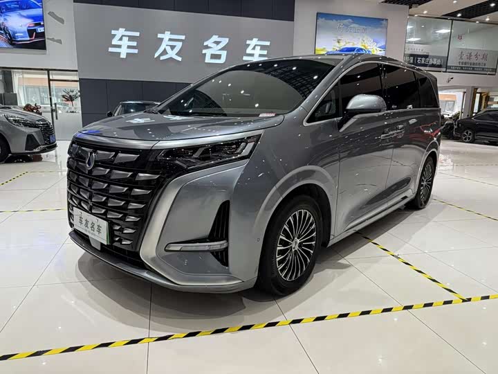 Фото 2 - Denza D9