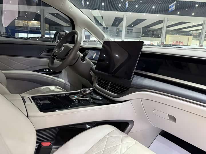 Фото 6 - Denza D9