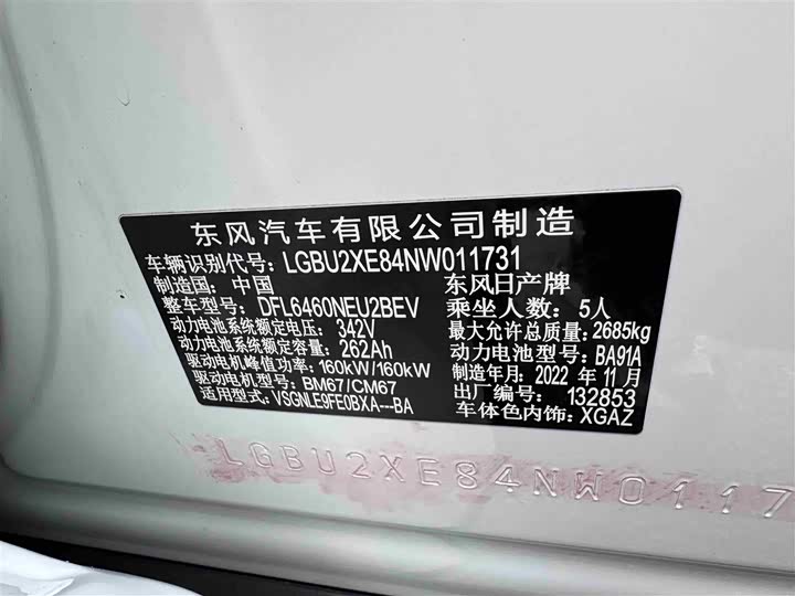 Фото 18 - Nissan Ariya EV