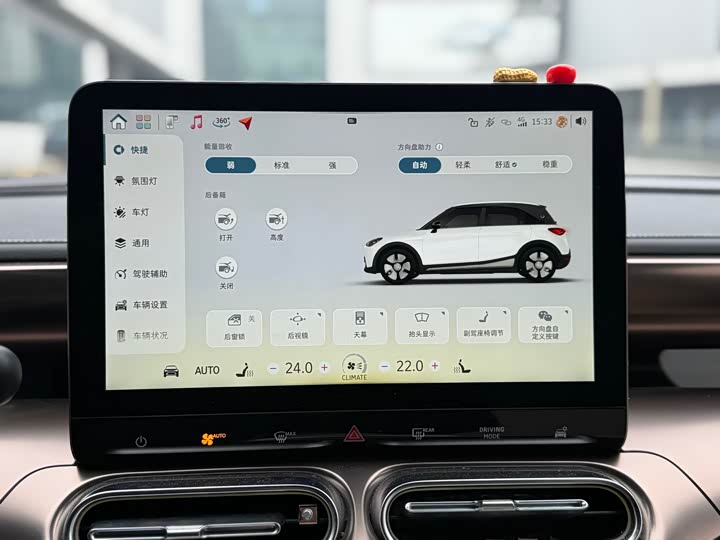 Фото 10 - Smart #1