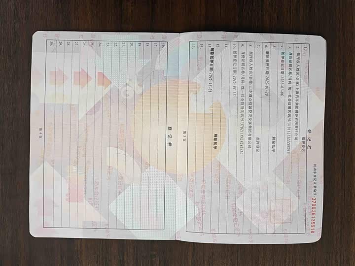 Фото 14 - Volkswagen Passat