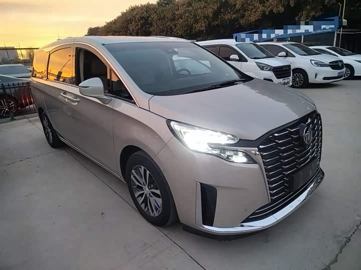 Фото 4 - Buick GL8 ES