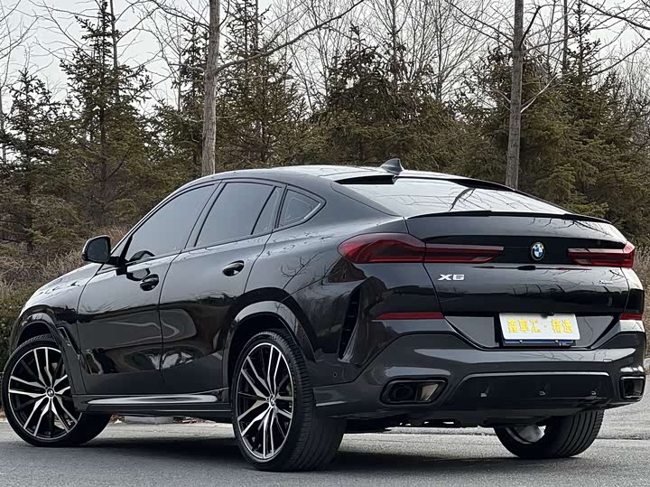 Фото 6 - BMW X6