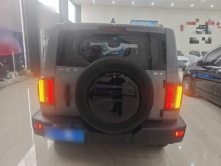 Фото 6 - Tank 300