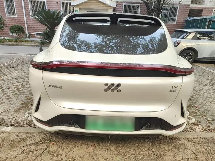 Фото 6 - IM motors LS7