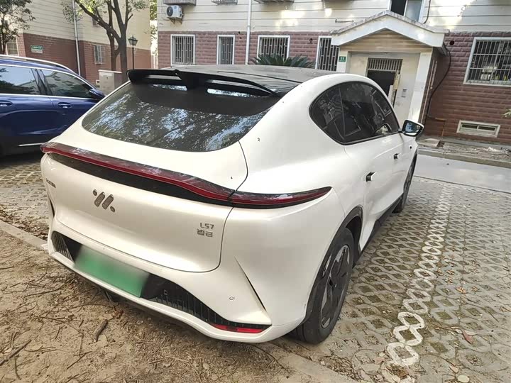 Фото 7 - IM motors LS7