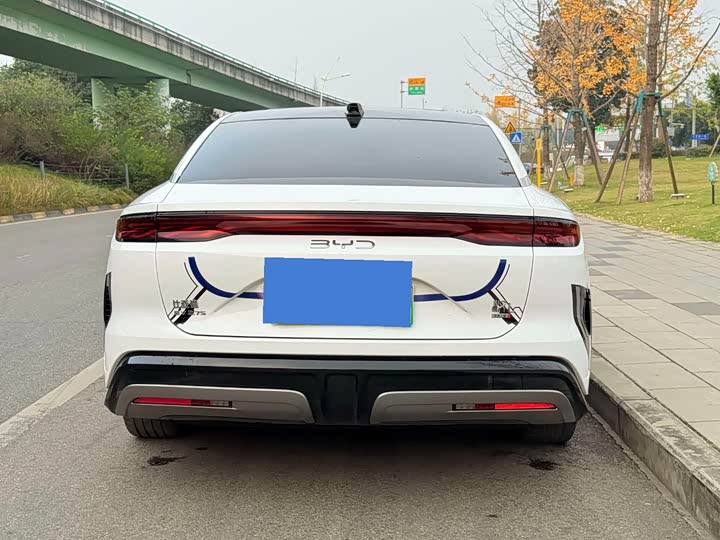 Фото 11 - BYD Han L