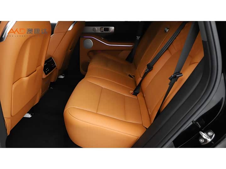 Фото 7 - Tank 700 Hybrid