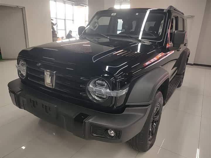 Фото 1 - Tank 300