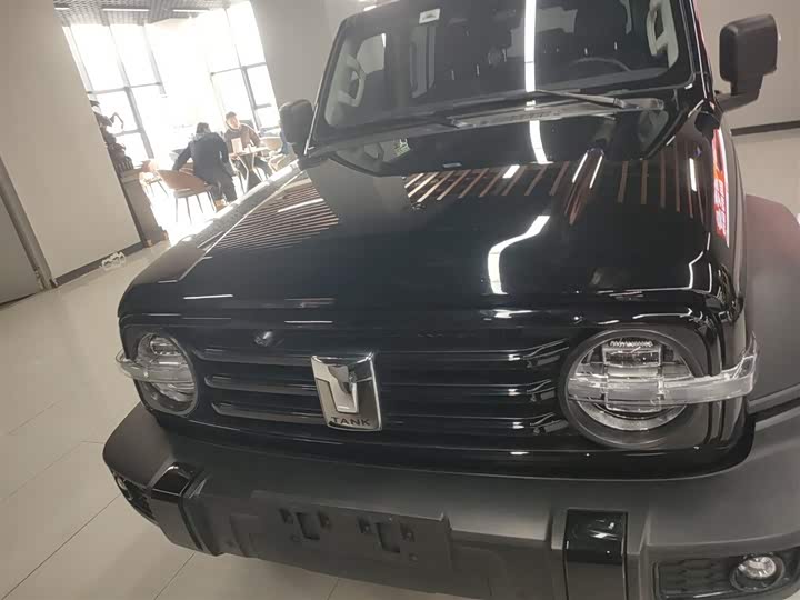 Фото 3 - Tank 300