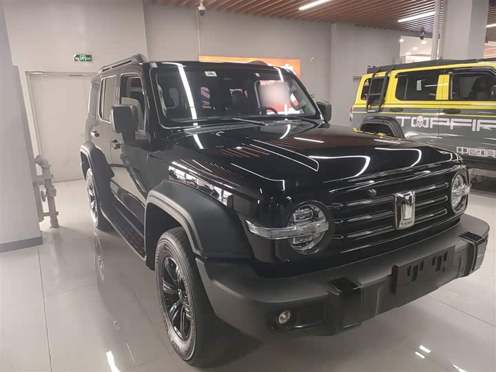 Фото 4 - Tank 300