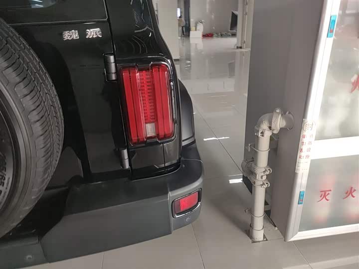 Фото 8 - Tank 300