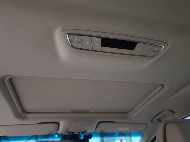 Фото 11 - Buick GL8 ES