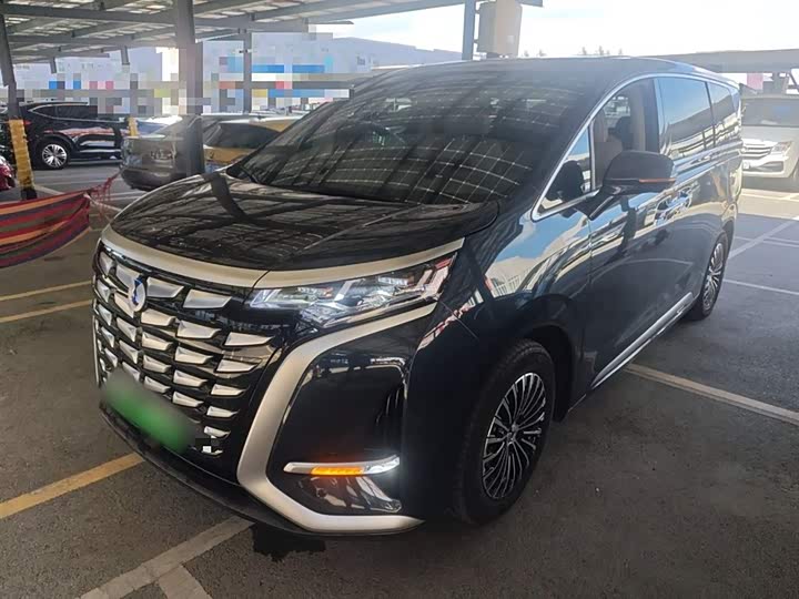 Фото 1 - Denza D9