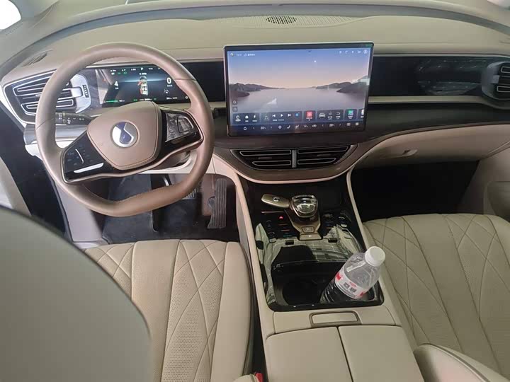 Фото 10 - Denza D9