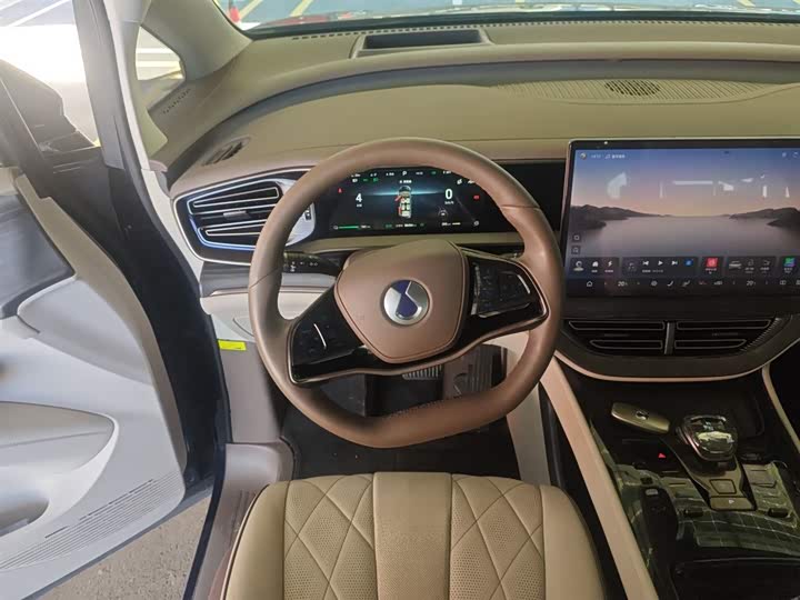 Фото 11 - Denza D9