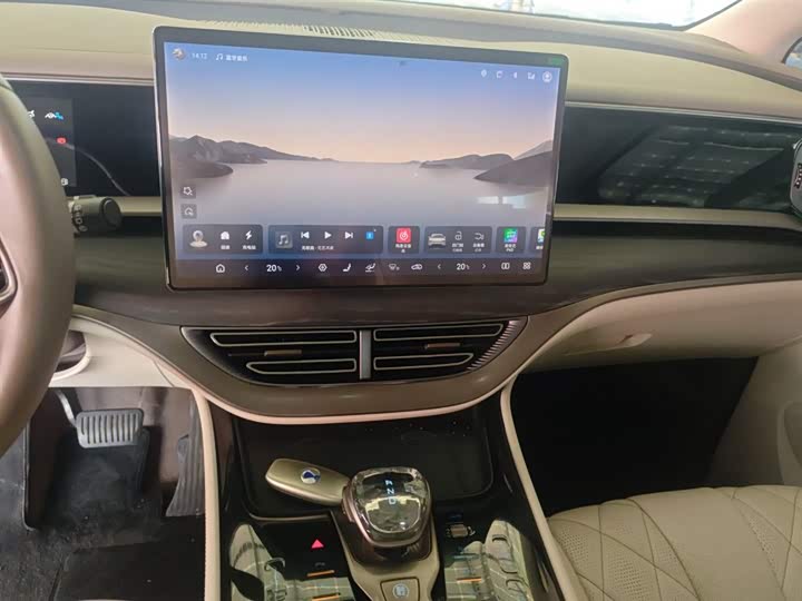 Фото 13 - Denza D9