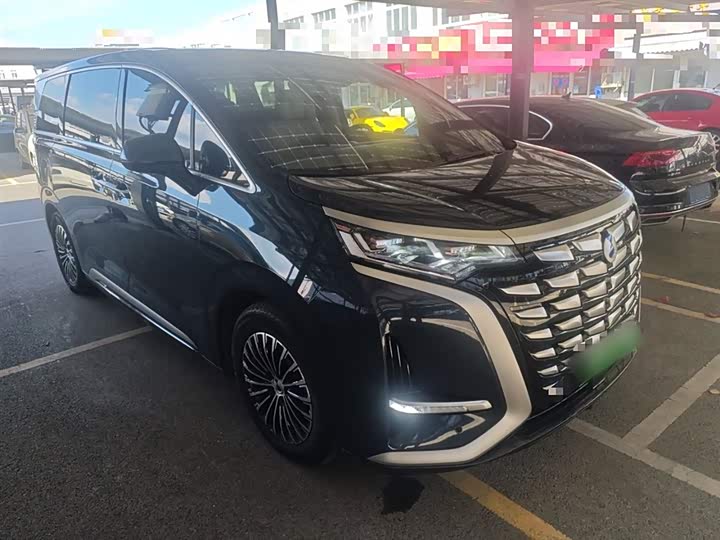 Фото 4 - Denza D9