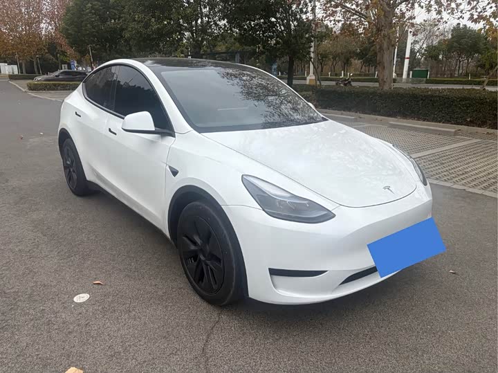 Фото 3 - Tesla Model Y