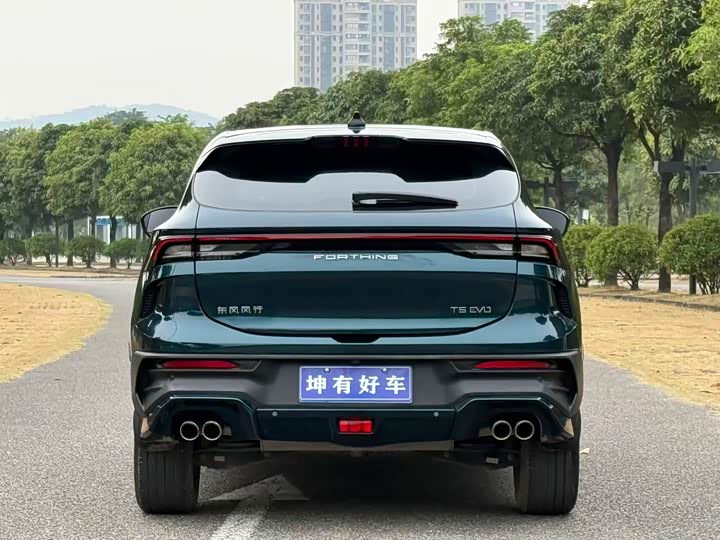 Фото 6 - Dongfeng Forthing T5 EVO